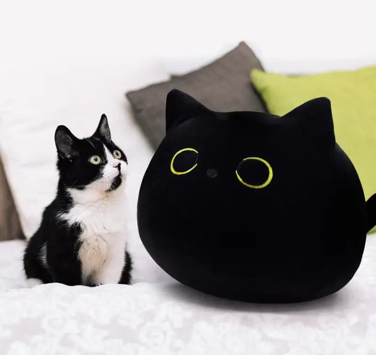 BLACK PLUSHIE CAT